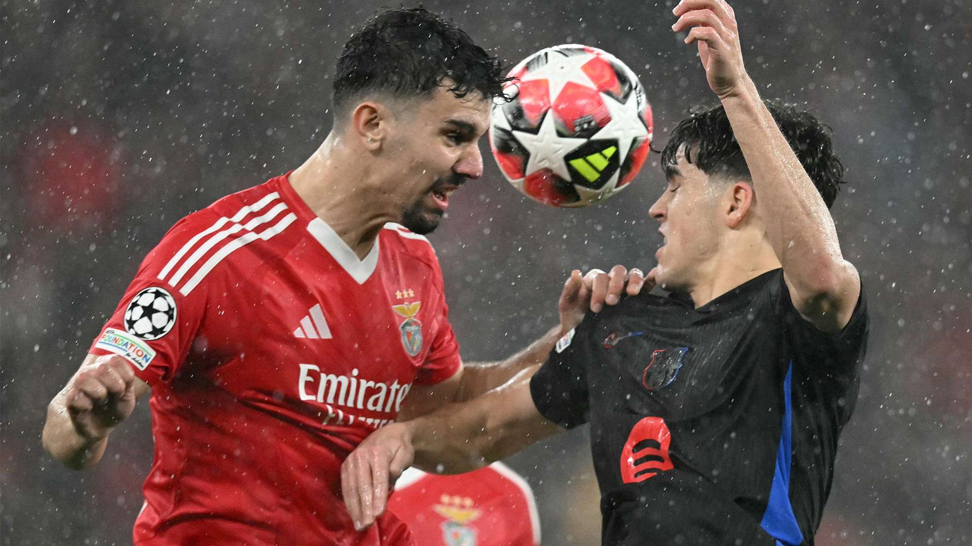 我们能看到 我们能看到