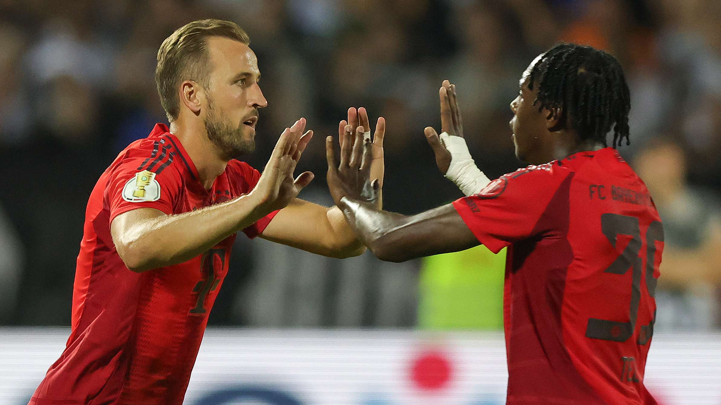 在这个快节 在这个快节